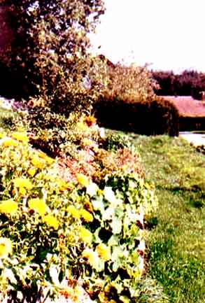 [Espace nature pour le calme et  le repos]