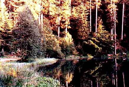 [Lac de la Maix]